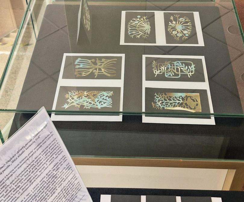 Almos Stugienės darbų parodos