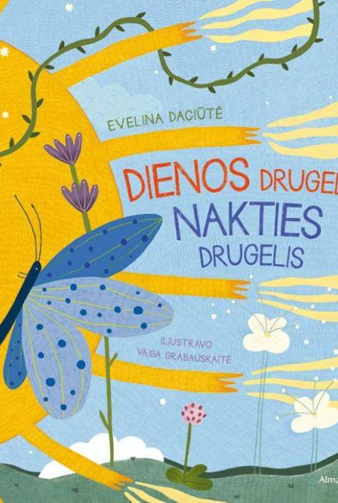 Dienos drugelis, nakties drugelis