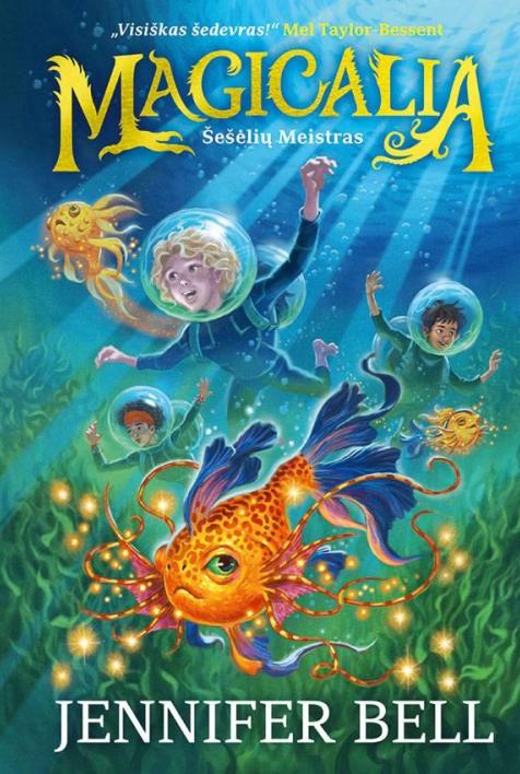Šešėlių Meistras. Ciklo „Magicalia“ 2-oji knyga
