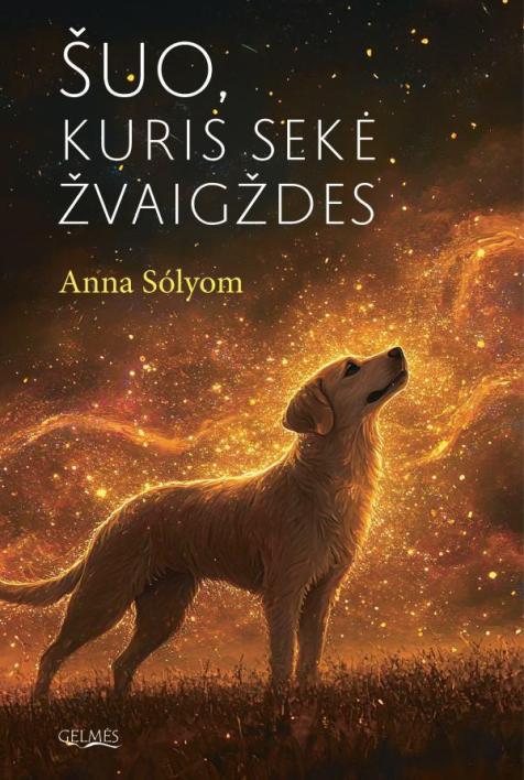 Šuo, kuris sekė žvaigždes